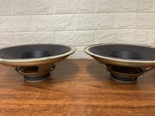 Coppia Woofer doppio cono vintage, 8 ohm diametro 25,5 cm 