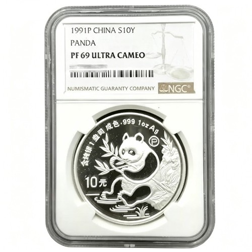 1991p panda argento cinese 1 - 1991p,