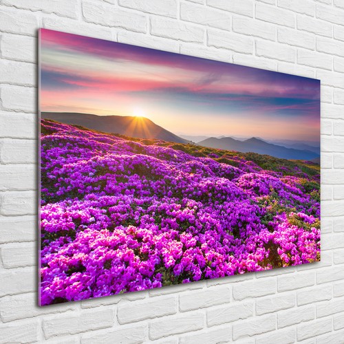 Quadro parete in - quadro, da