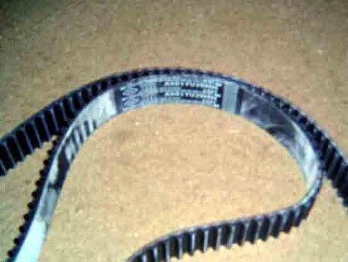 Cinghia distribuzione cambelt - cinghia, distribuzione/cambelt