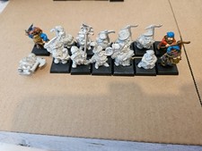 12 Marauder Imperial Dwarf