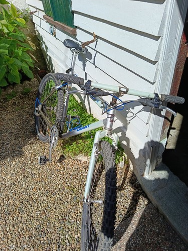 Mtb vintage giant cmf - vintage, 1