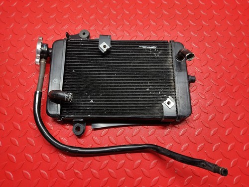 Radiatore acqua honda 300 - acqua,