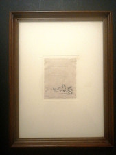 Stefano della Bella Cavalli in libertà acquaforte stampa originale incisione 600