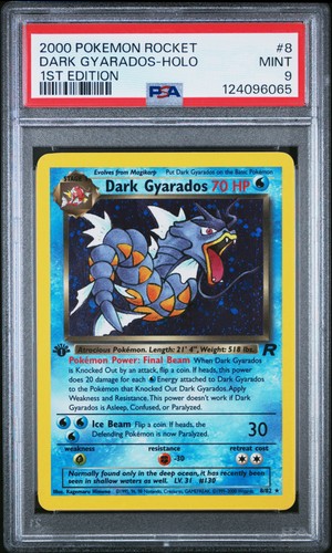 Pokemon rocket 2000 - pokemon,