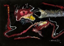 Stampa Sostanza Sbagliata