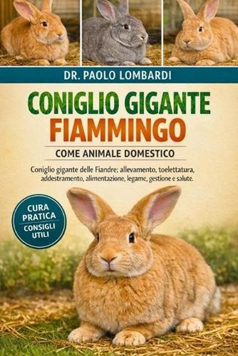 Coniglio gigante fiammingo - gigante,