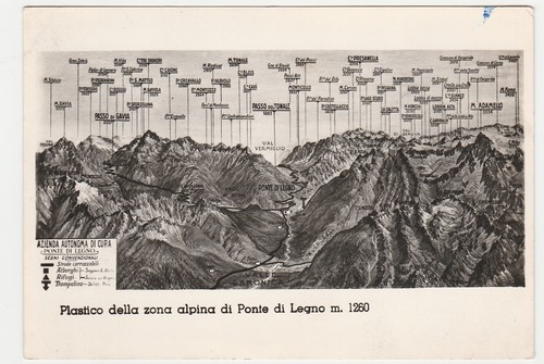 Plastico della zona - plastico,