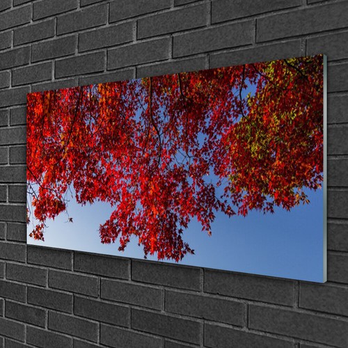 Pittura vetro 100x50 - su,