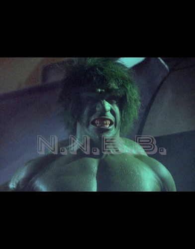Lou ferrigno the incredible - ferrigno, as