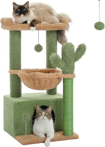 Albero cactus per - di,