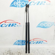 Ammortizzatori portellone Fiat