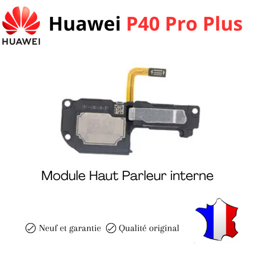 Module haut parleur interne - module,