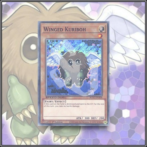 Yugioh kuriboh alato mazzo - kuriboh,
