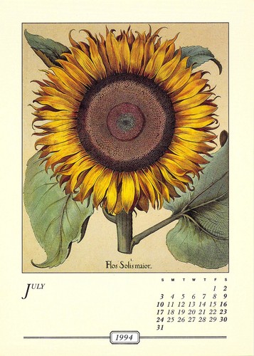 Vtg 1994 botanical calendar - vtg,