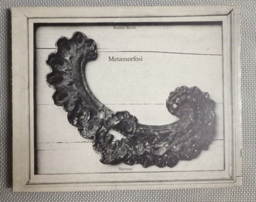 Metamorfosi renato birolli - di,