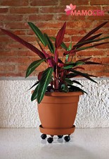 SOTTOVASO Euro3plast plastica