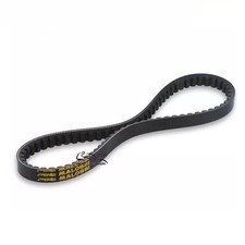 6118940 CINGHIA MALOSSI