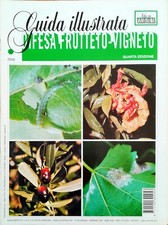 GUIDA ILLUSTRATA - DIFESA