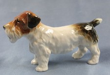Terrier cane porcellana cane