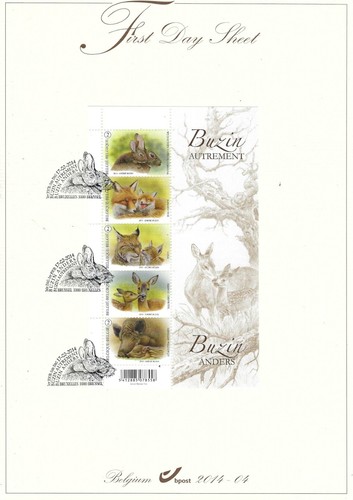 Fds404 belgio fds 2014 - belgio,