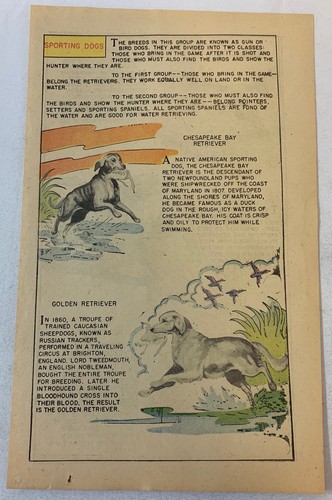 1958 due pagine storia - , cartone