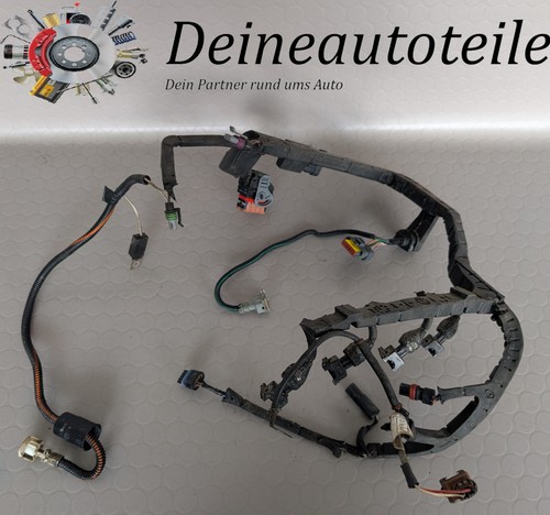 Cablaggio motore renault - motore,