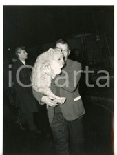 1962 MILANO - INCENDIO AL CIRCO TOGNI Salvataggio di un cucciolo di leone *Foto