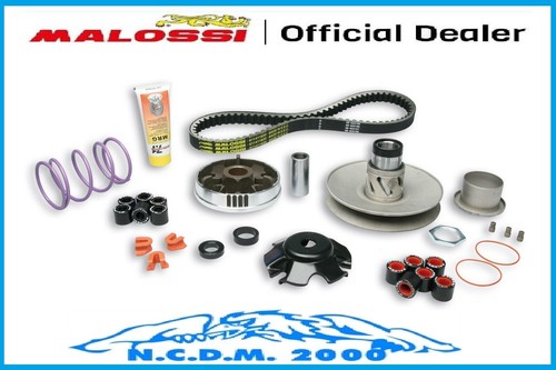 Gruppo trasmissione malossi - gruppo,