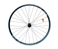 Ruota posteriore DT Swiss