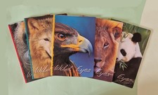 5 Quaderni Blasetti Wild Eyes a righe prima elementare nuovi