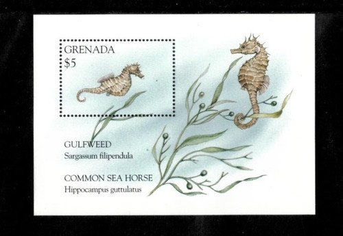 Grenada 1995 pesce - grenada,