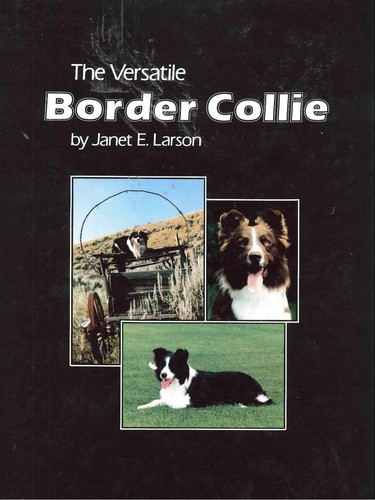 The versatile border collie - versatile,