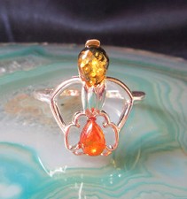 Ω Anello Baltischer Marrone