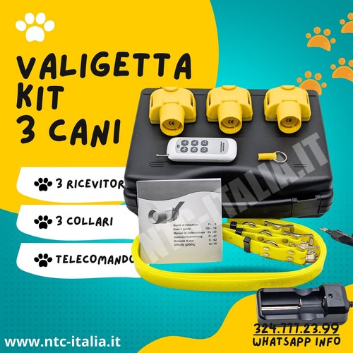 Set valigetta collare - valigetta,