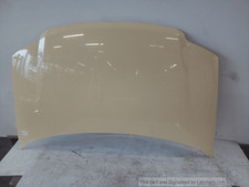 51876323 Cofano ant.  FIAT