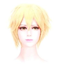 Parrucca Regolabile bionda sfilata Accessori Halloween Carnevale Adulti L.4242