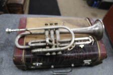 Corona vocale HN White King