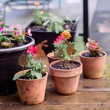 4 Sculture Coniglietto per