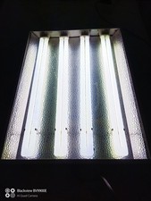 plafoniera neon ad U x4 -