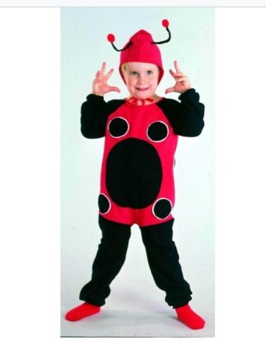 Costume carnevale coccinella - carnevale,