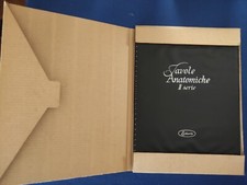 Tavole anatomiche II serie Lederte