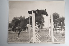 FOTO Analogica Francia