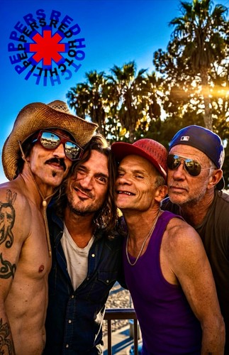 Poster red hot chili - hot,