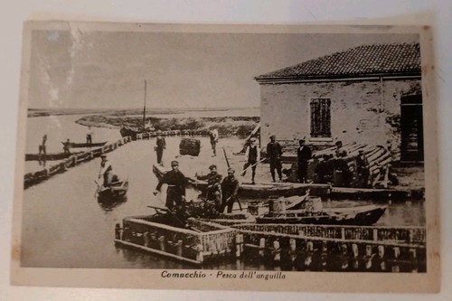 Comacchio ferrara pesca delle - ferrara,