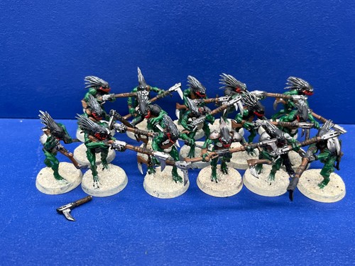Kroot della rugiada - 16,
