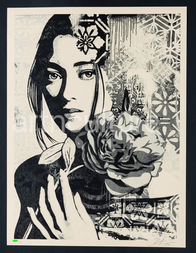 Shepard fairey - (obey),