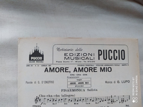 Lupo amore mio - mio",