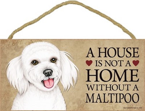 Insegna maltipoo casa non - casa,
