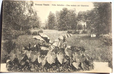 1913 ROSSANO VENETO - VILLA SEBELLIN giardino cartolina autografa Gen.T di Revel